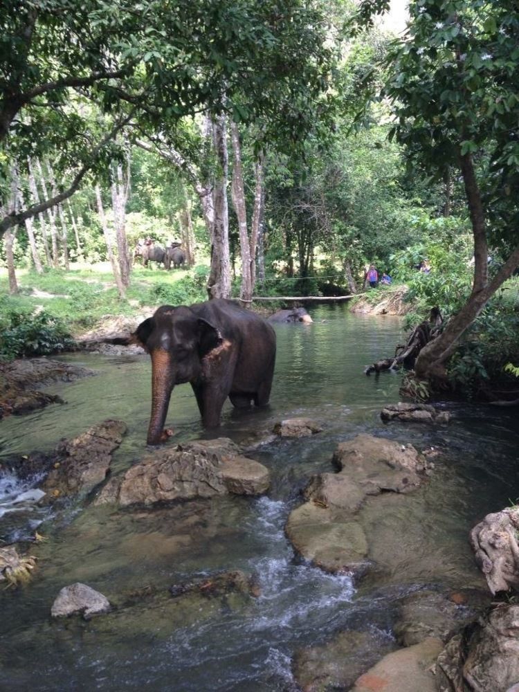 Water Garden Krabi Resort Ao Nang Exterior foto